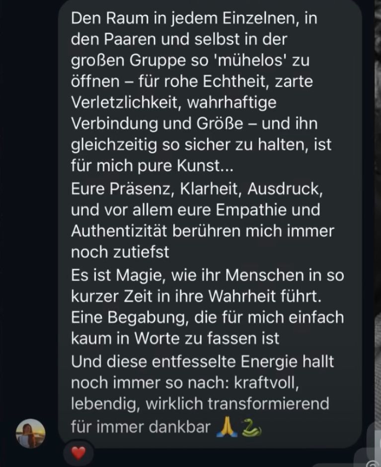 WhatsApp Stimme 5